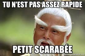 Pas assez rapide scarabé.jpg